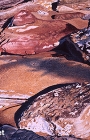 rocks with sunset glow 10th Sept 2014