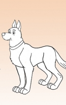 dog-turnaround-7