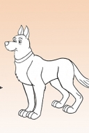 dog-turnaround-7
